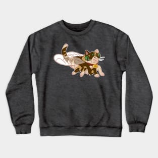 Cicata Crewneck Sweatshirt